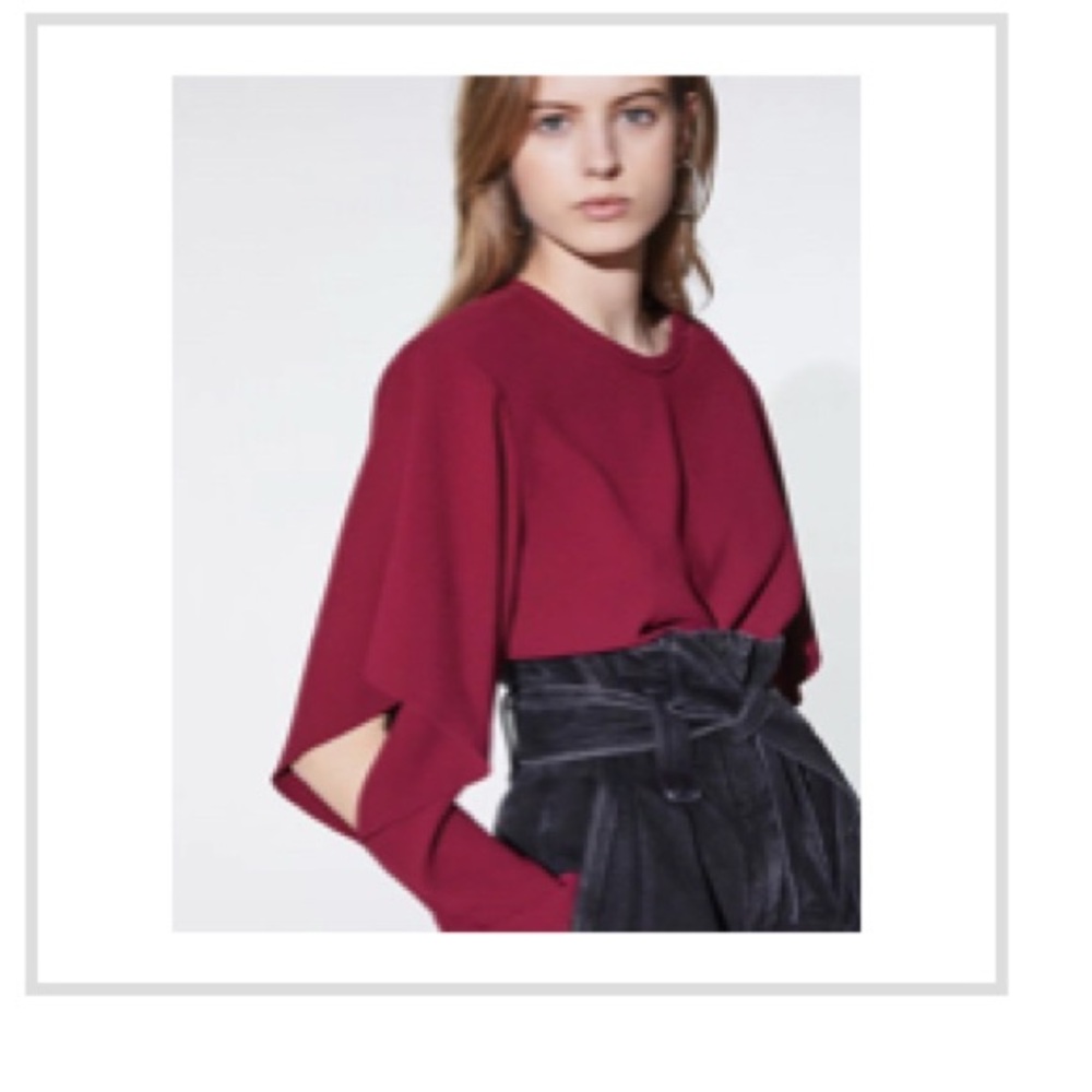 IRO Elegant Wine Women’s Top with cutout in sleeve - NWT - Size 40